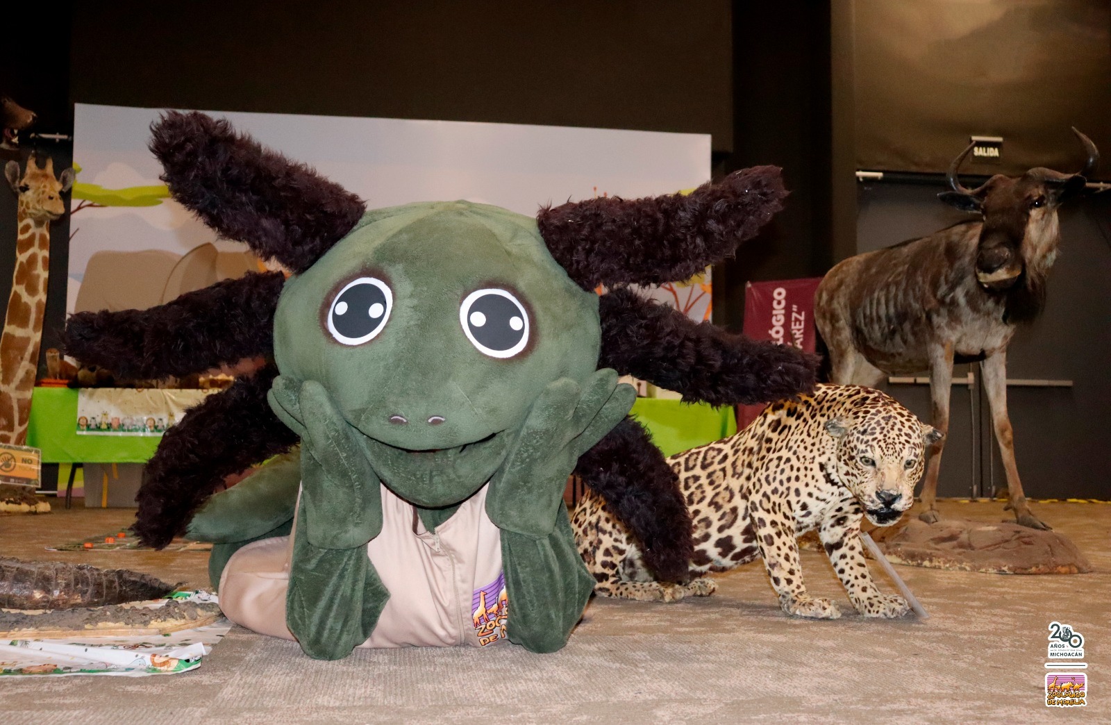 Aprende más sobre el reino animal mientras te diviertes en el Festival de Origen