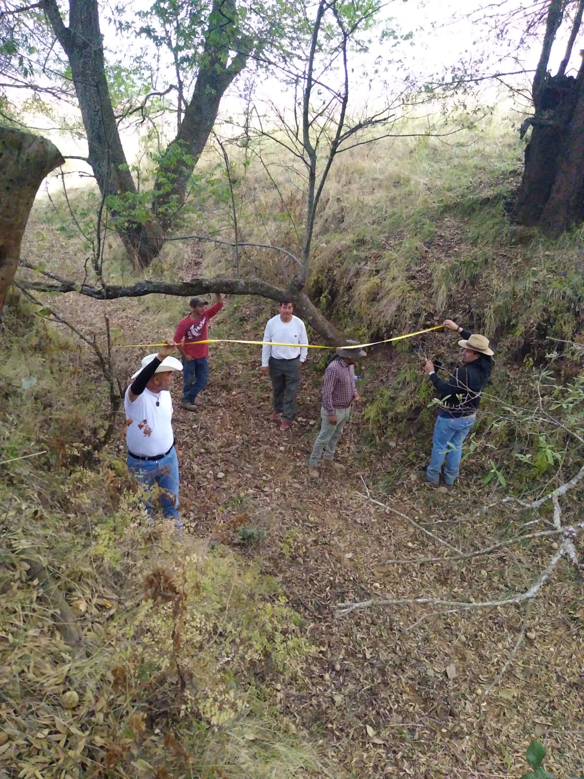 Con estas acciones comunidades se pueden sumar al rescate del lago de Pátzcuaro.