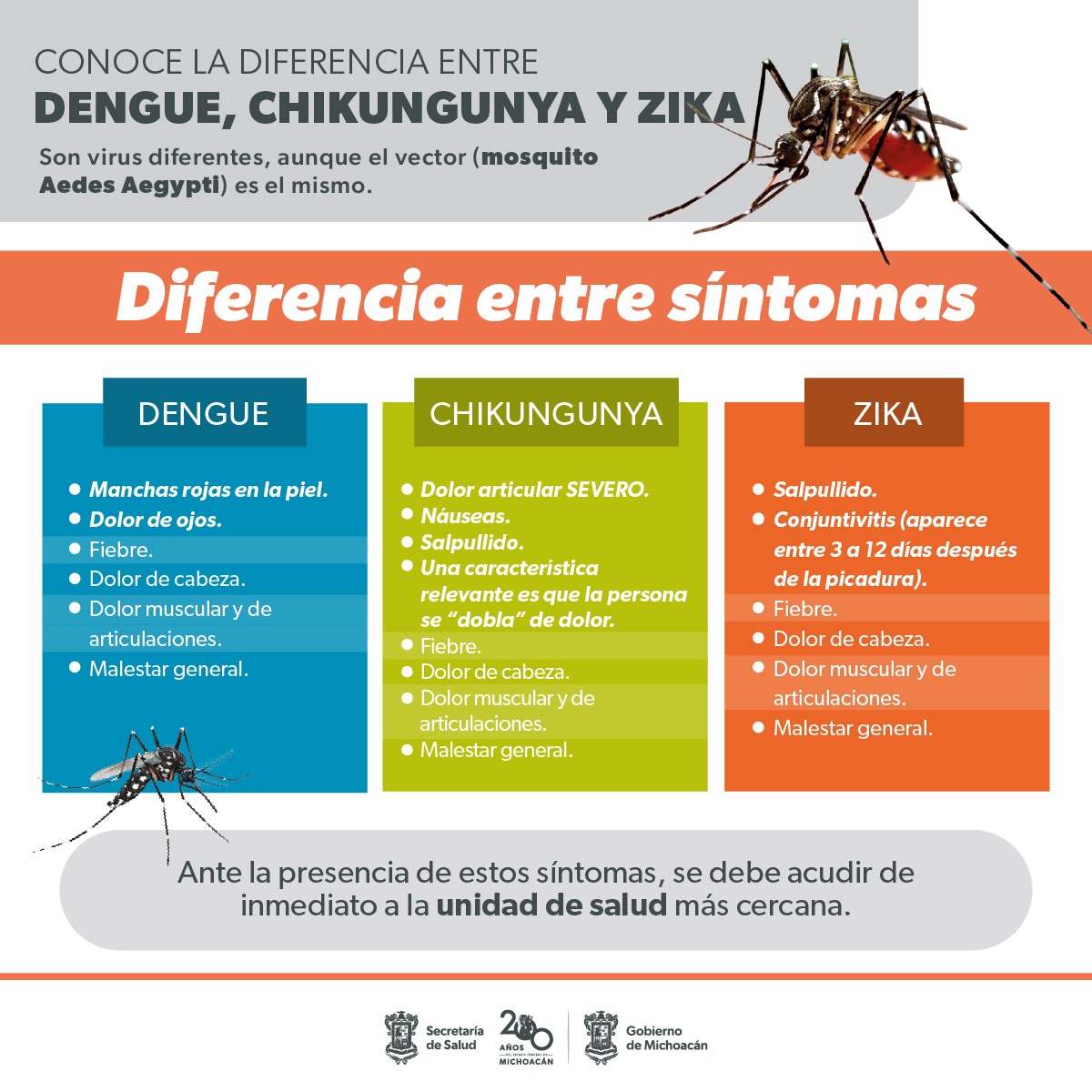 Conoce los síntomas que diferencian el dengue, zika y chikungunya