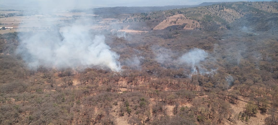 Helicóptero sobrevuela incendio forestal en Jiménez; continúa atención por tierra