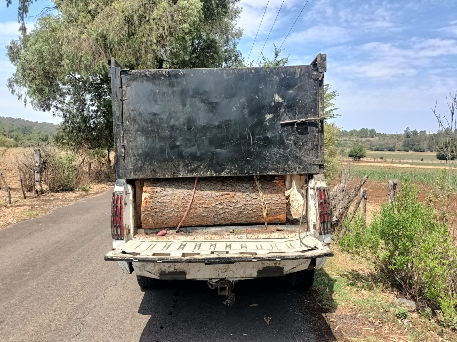 Detiene Fiscalía General a hombre relacionado en delitos contra el ambiente