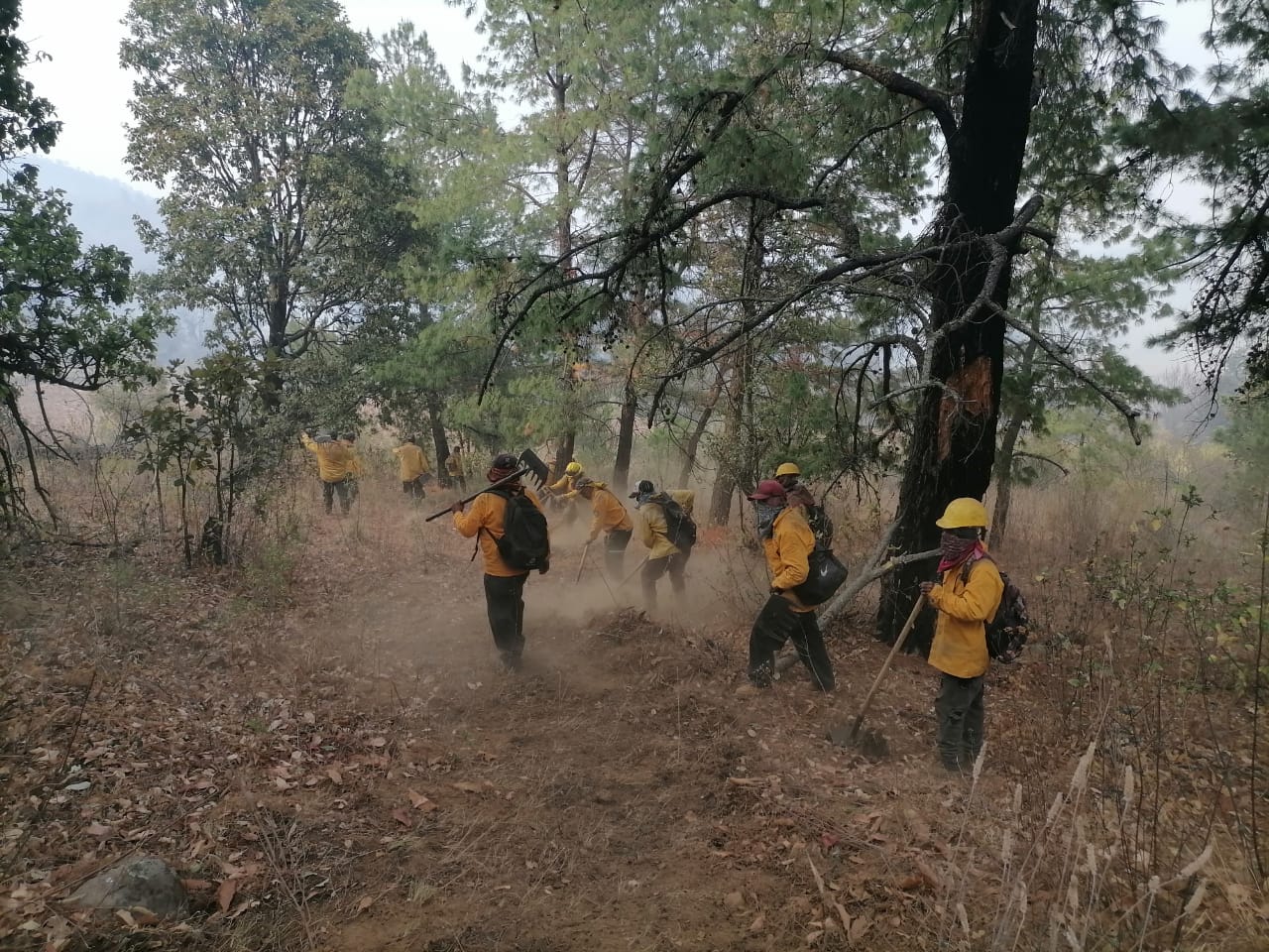 Brigadistas controlan incendio forestal en Morelia y atienden 9 más en otros municipios