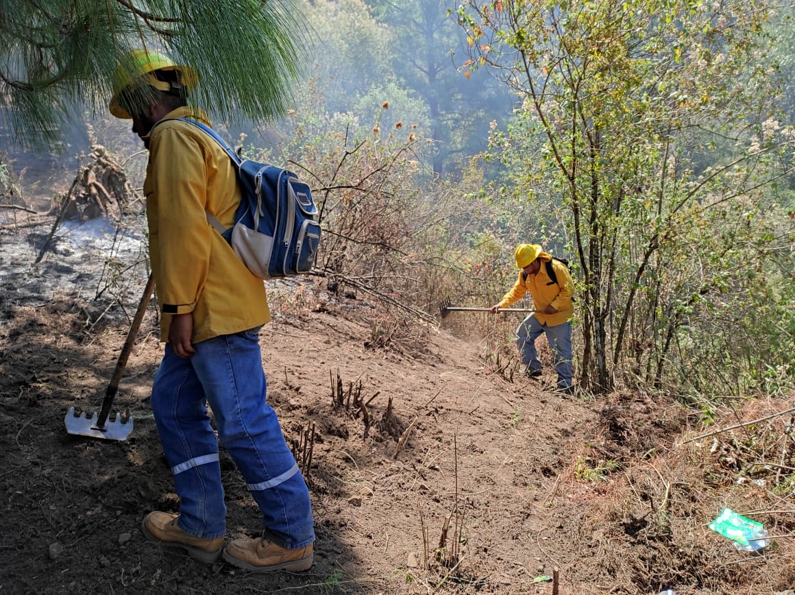 Continúa Brigada Municipal combate a incendio forestal en Crescencio Morales