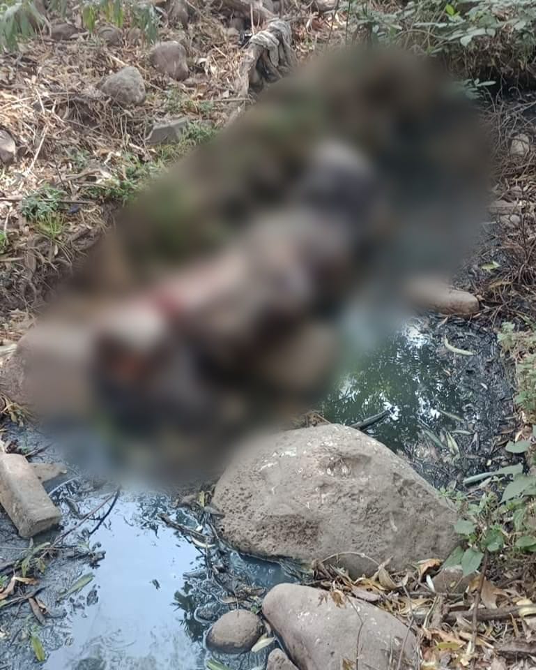 Encuentran el cadáver envuelto en una cobija, putrefacto y degollado de un hombre