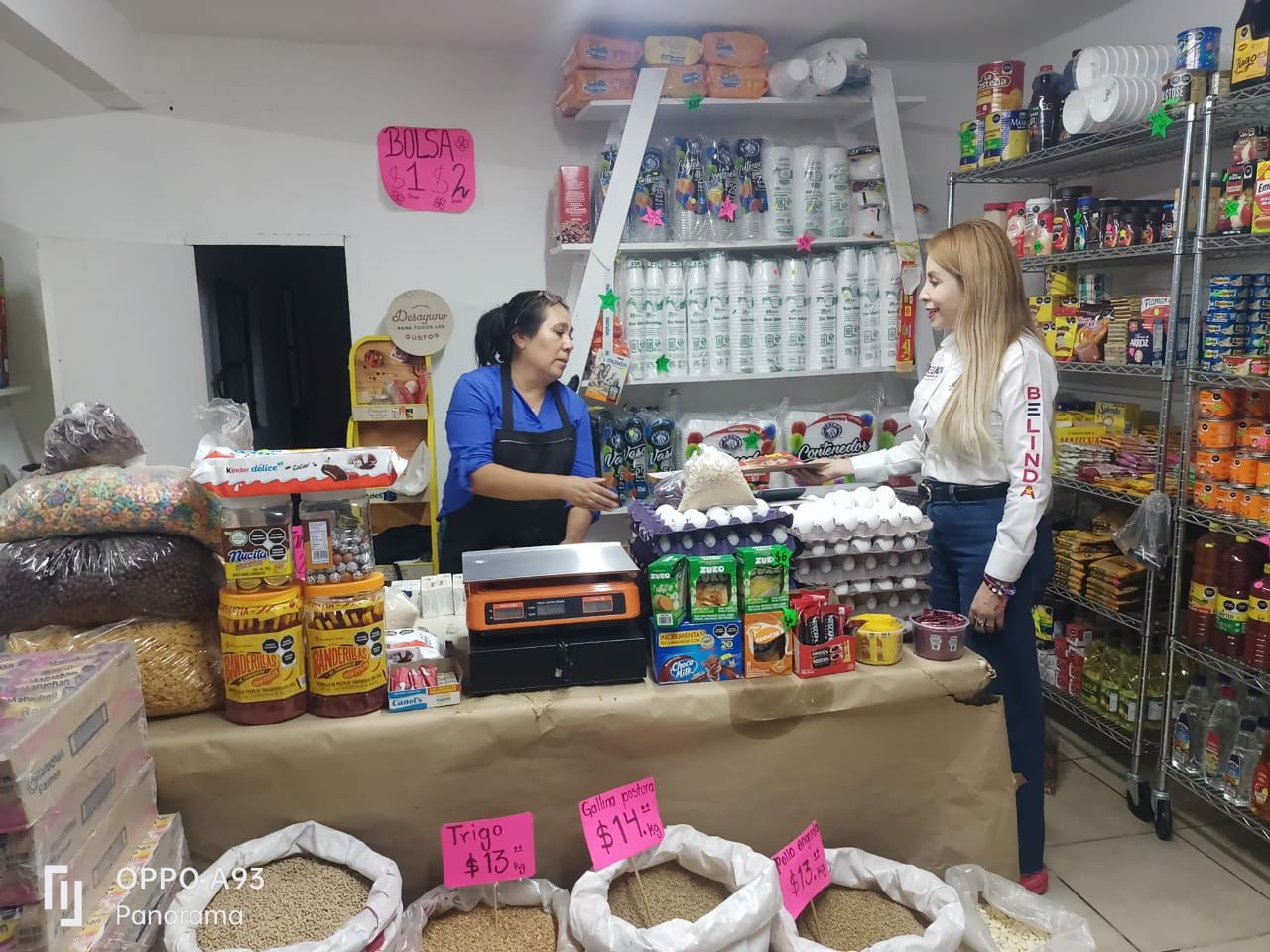 Desde el congreso legislare para traer beneficios a las familias que se dedican a las actividades comerciales y de servicios: Belinda Hurtado