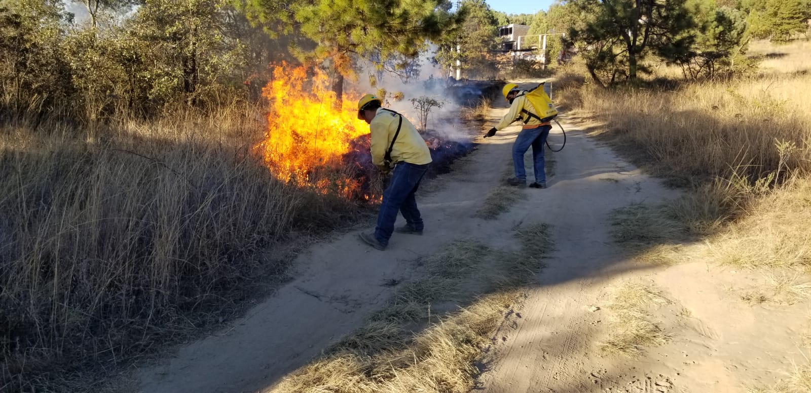 ​Continúan las recomendaciones para disminuir incendios forestales en esta época de estiaje