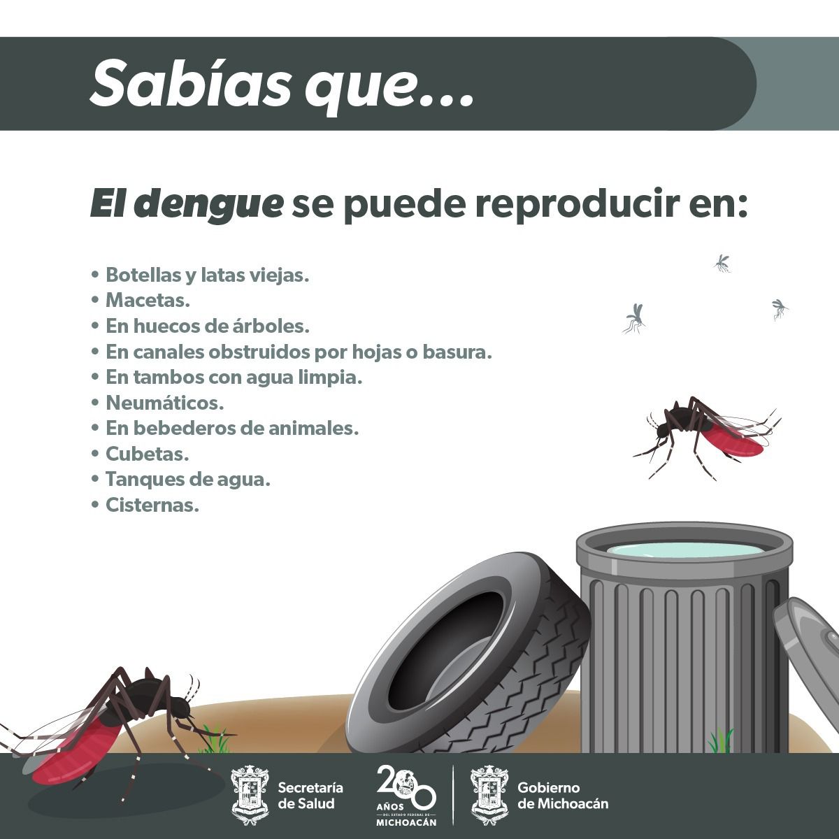 Esto es lo que debes saber sobre el dengue: síntomas, tratamiento y prevención