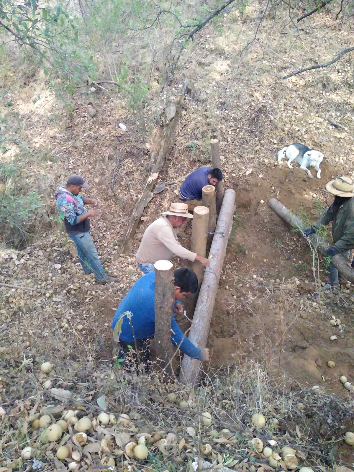 Con obras antiazolve ejidatarios de Erongarícuaro se suman al rescate del lago de Pátzcuaro