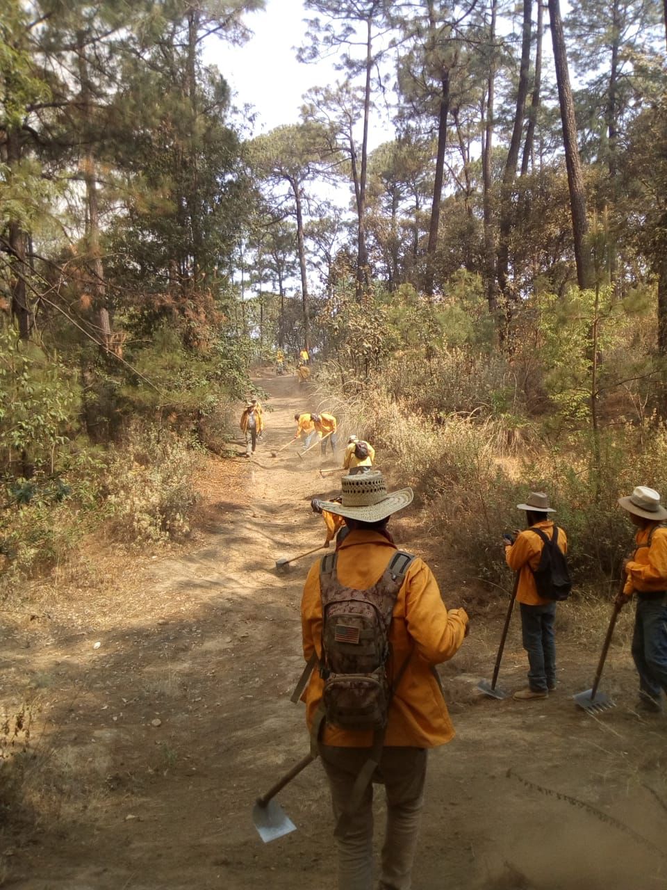 Atienden brigadistas incendio forestal en Zinapécuaro.