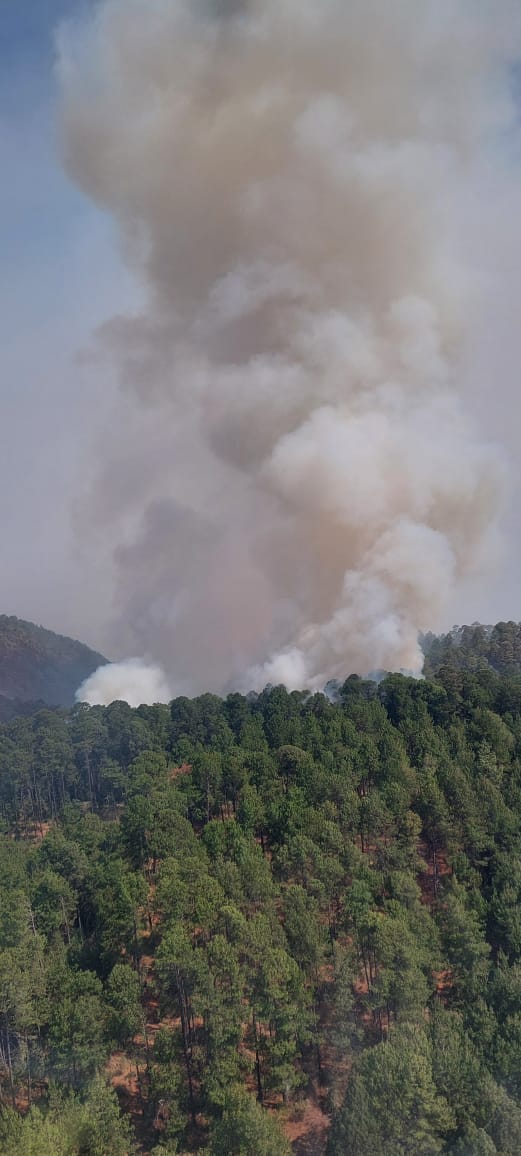 Se suma helicóptero a combatir incendio forestal en Zinapécuaro.