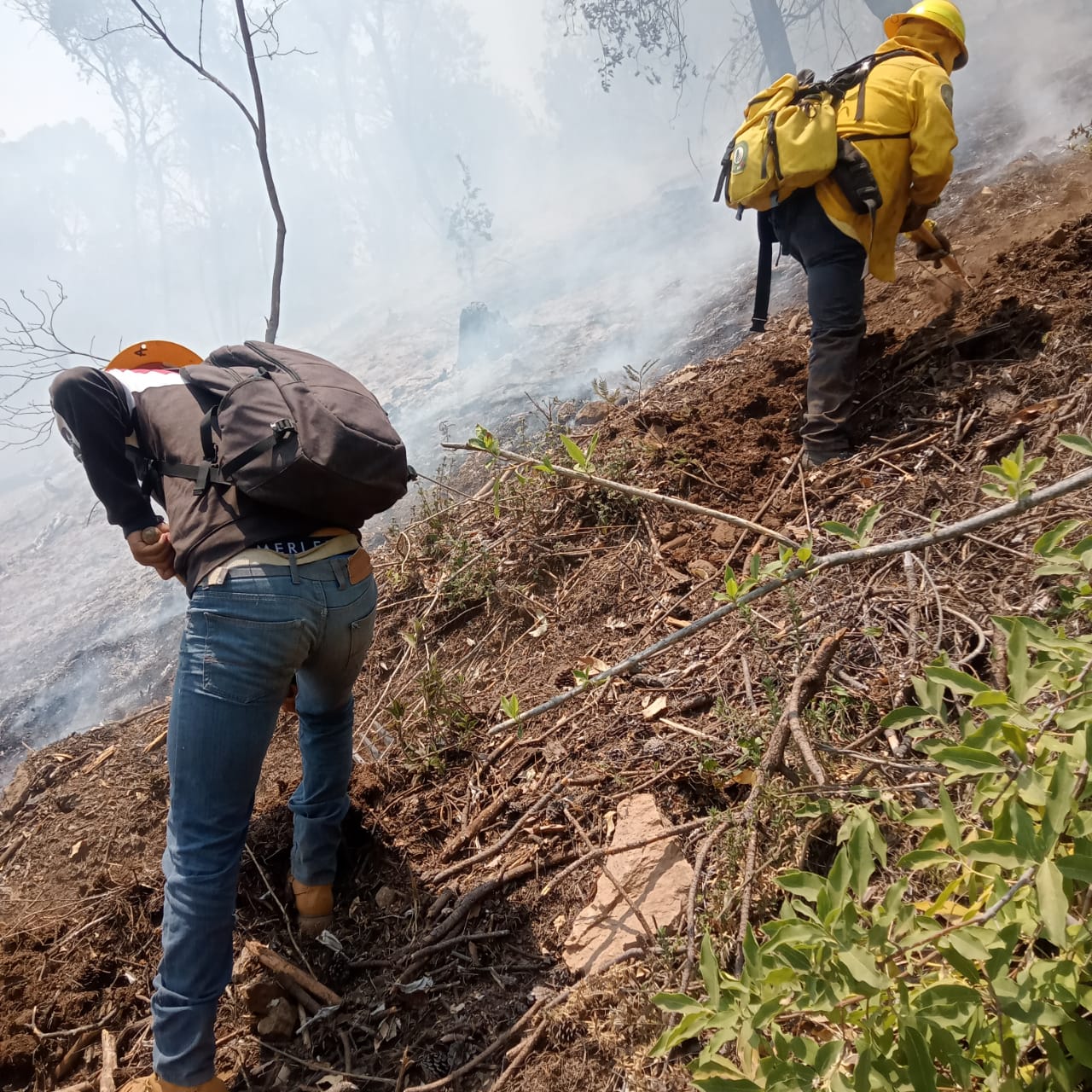 Intensifica Brigada Municipal operaciones para apagar incendio en Pueblo Nuevo 