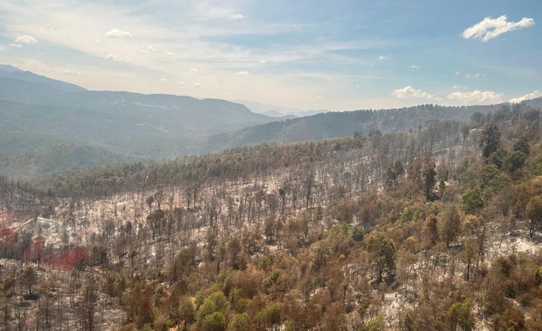 Con ayuda de helicóptero con helibalde apagan incendio forestal en Queréndaro