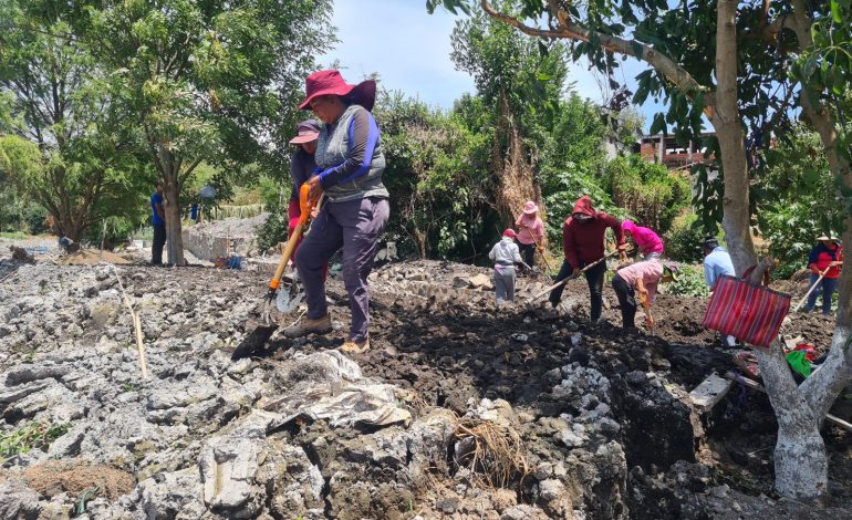 Empleo temporal beneficia a más 800 personas con rescate del lago de Pátzcuaro.