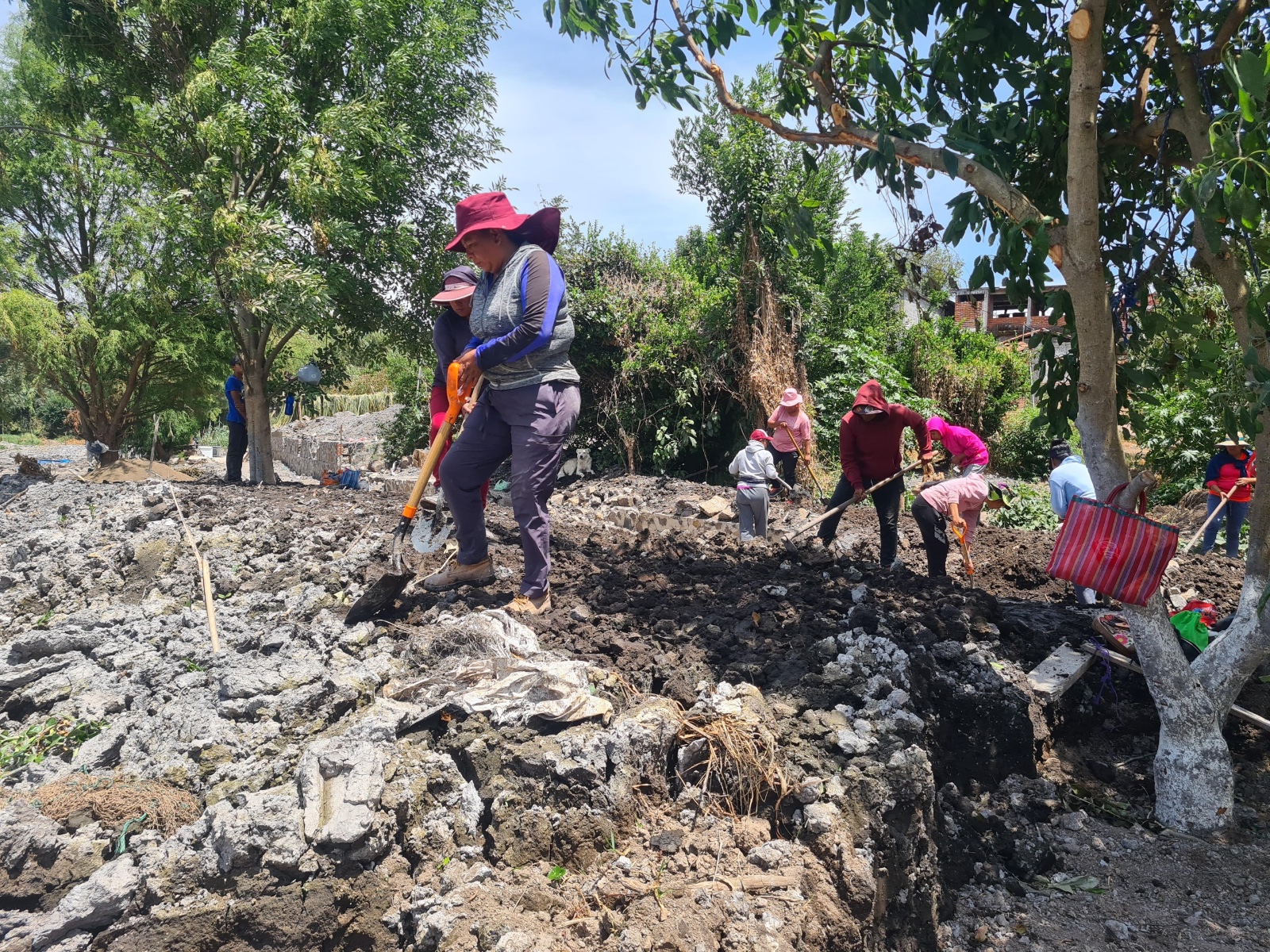 Empleo temporal beneficia a más 800 personas con rescate del lago de Pátzcuaro.