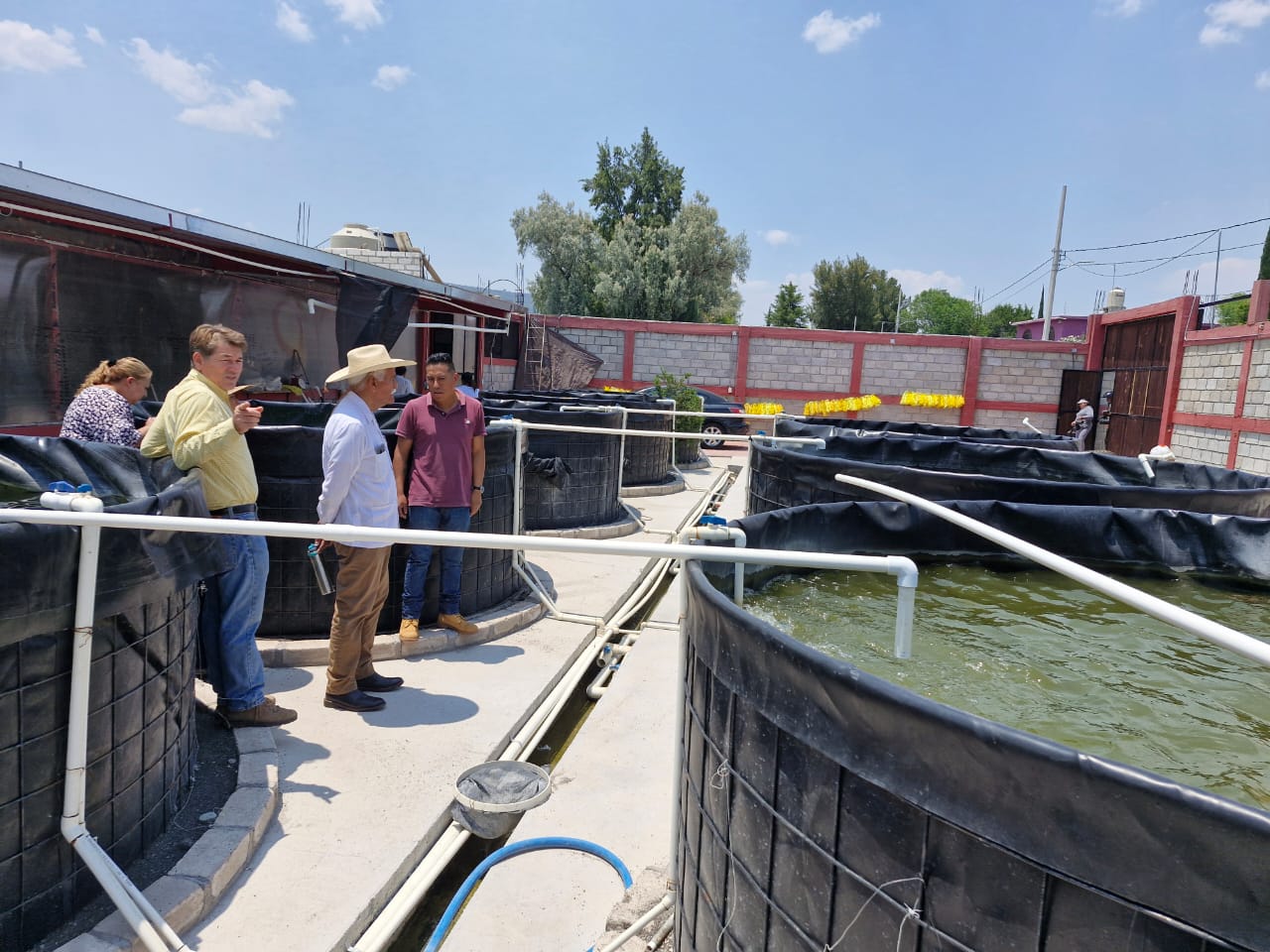 Avanza proyecto acuícola migrante para el rescate del pescado blanco