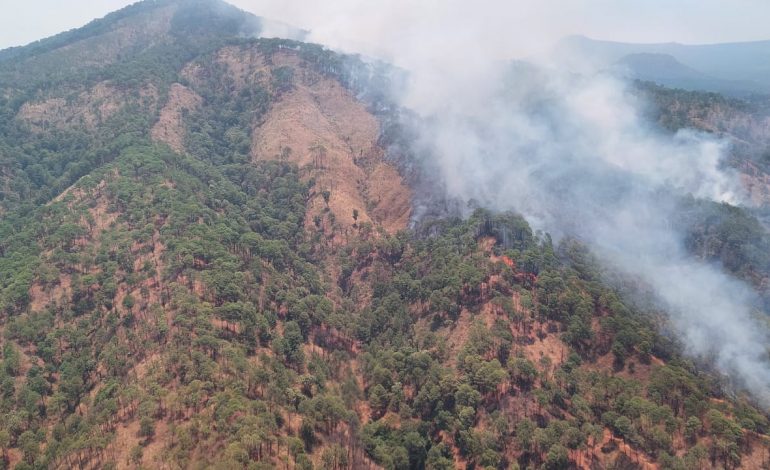 Por tierra y aire atienden incendio forestal en cerro de la Cruz