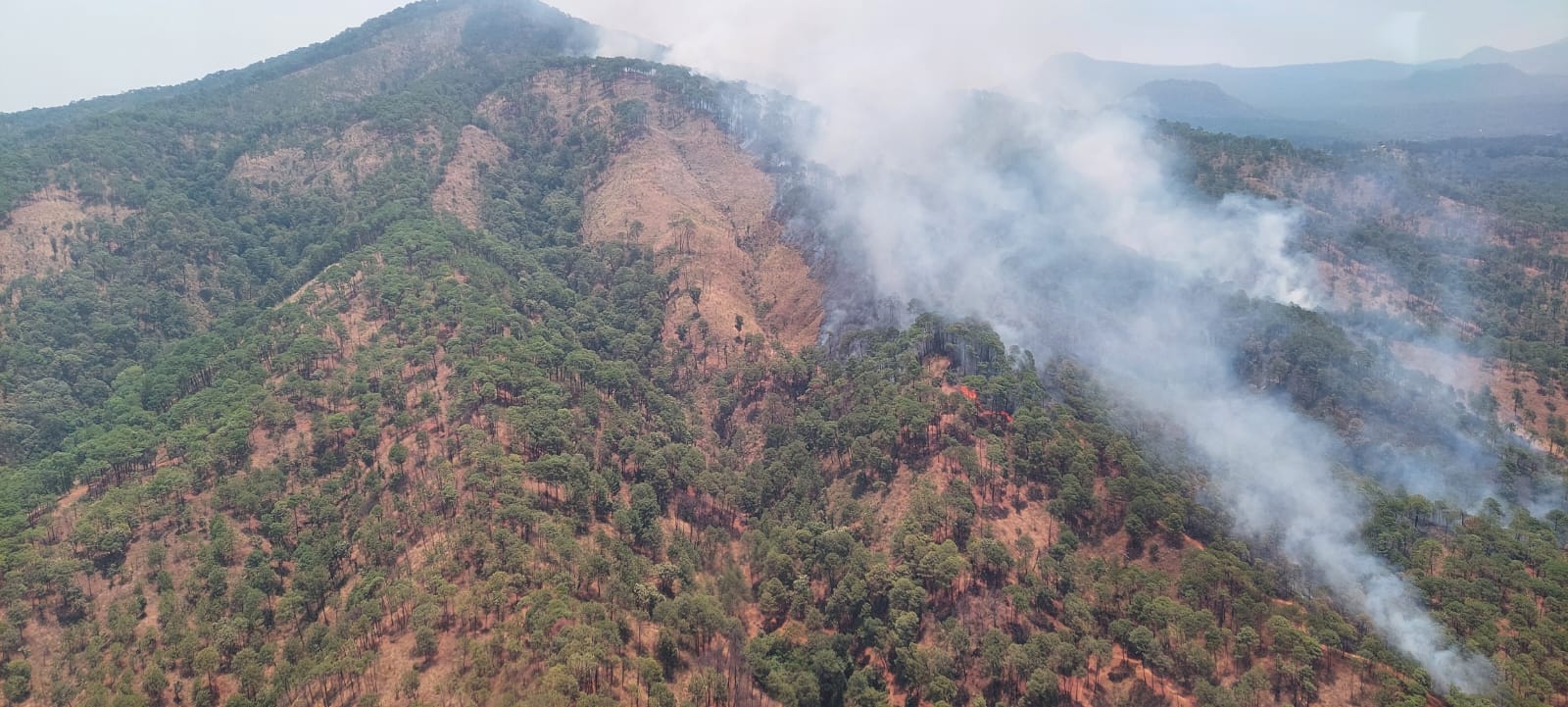 Por tierra y aire atienden incendio forestal en cerro de la Cruz