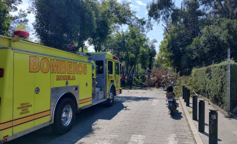 Gobierno Municipal, alerta por lluvias en Morelia; reporta afectaciones menores