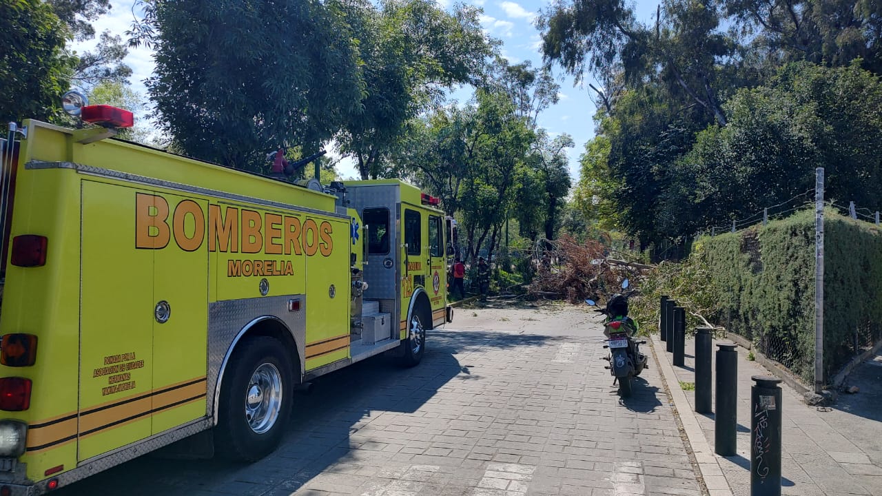 Gobierno Municipal, alerta por lluvias en Morelia; reporta afectaciones menores