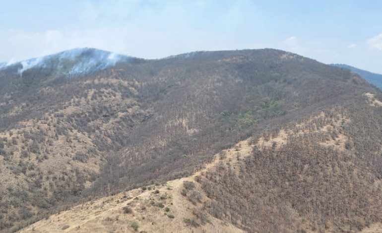 Atienden por aire y tierra incendio forestal en Cerro Verde, en Morelia