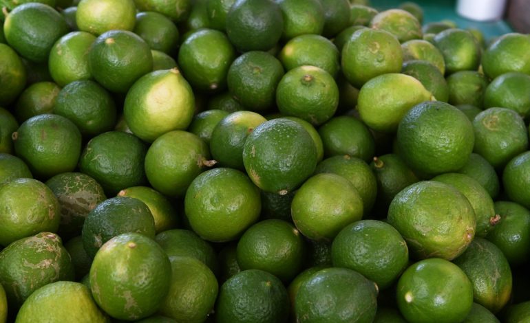 El kilo de limón registra el costo más bajo del año: Sedeco