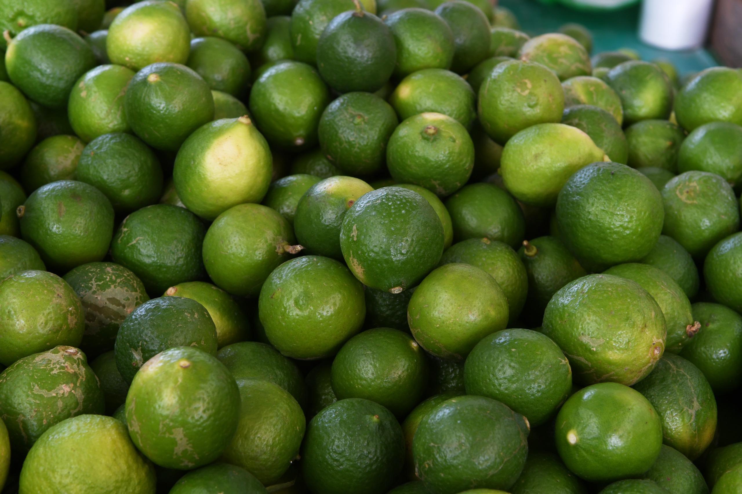 El kilo de limón registra el costo más bajo del año: Sedeco