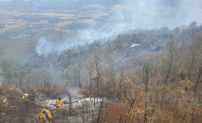 Más de 100 brigadistas forestales atienden cinco incendios en Michoacán