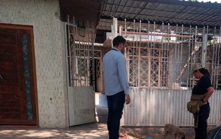 Rescata Fiscalía General a un ejemplar canino en condiciones de maltrato animal