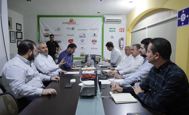 Bedolla y exportadores de berries, aliados por la formalización laboral de jornaleros