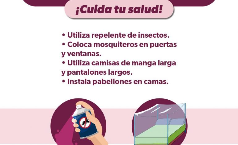 ¿Cuáles son los síntomas del dengue y cuánto tardan en aparecer?