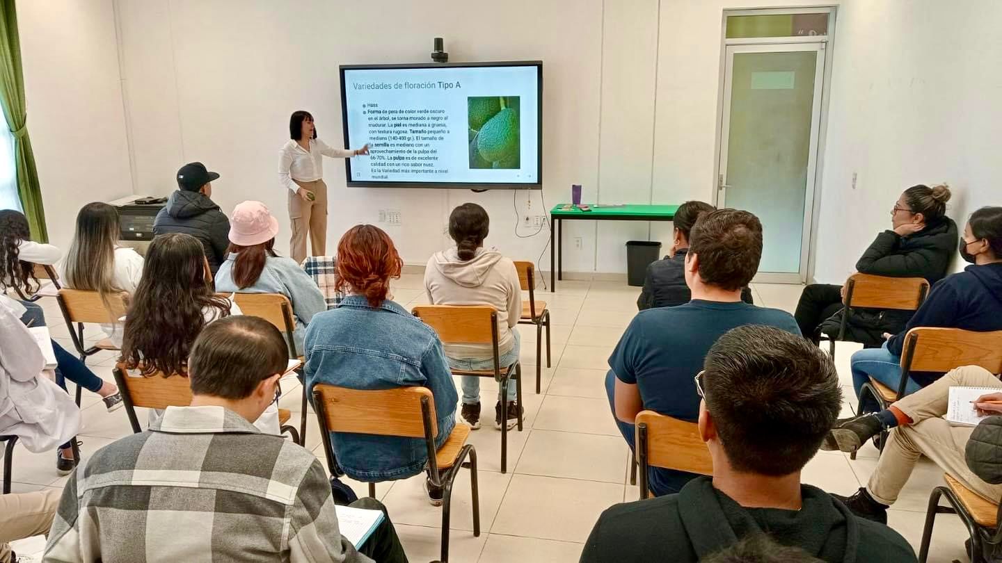 Actualizan programas educativos para universidades tecnológicas y politécnicas