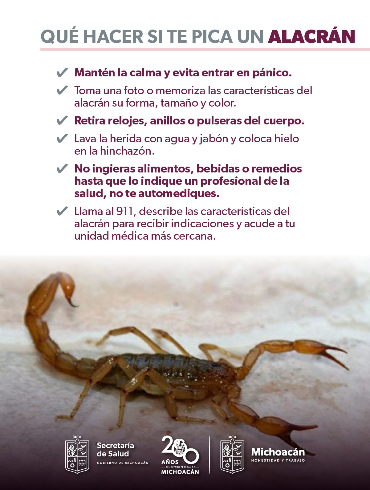 ¿Sabes qué hacer en caso de picadura de alacrán? La SSM te explica