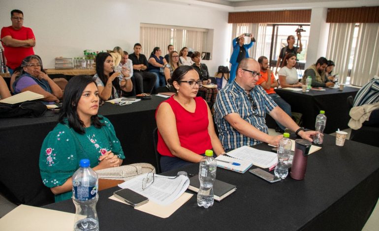 DIF y UNICEF trabajan por la protección de datos de la niñez y adolescencia michoacana
