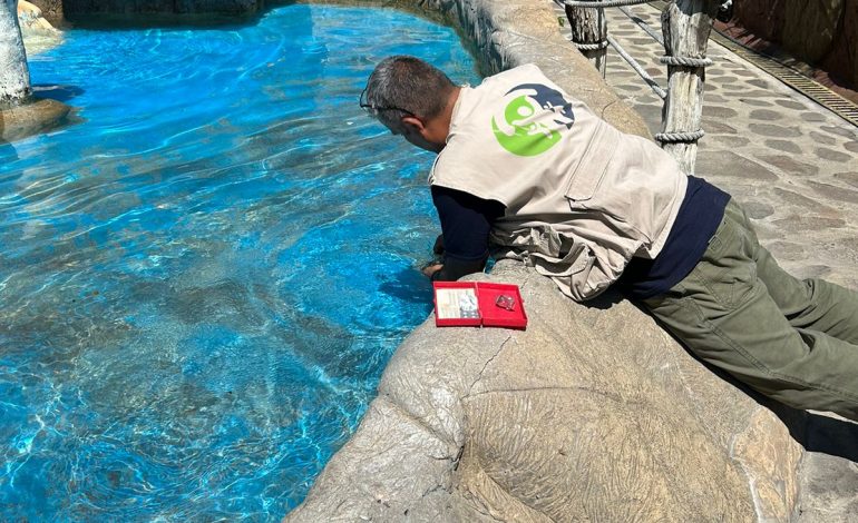 SSM revisa albercas y balnearios previo a vacaciones de verano