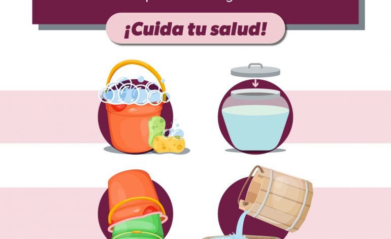 Lava tus recipientes que contengan agua y prevén el dengue en casa: SSM
