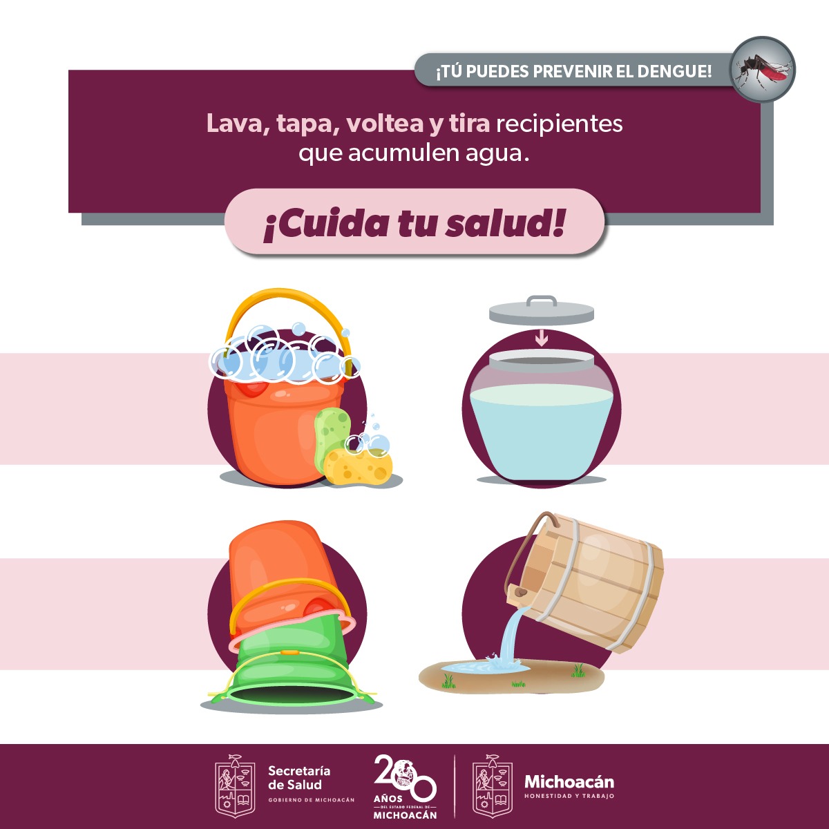 Lava tus recipientes que contengan agua y prevén el dengue en casa: SSM