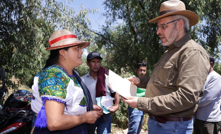 Plantarán 1.5 millones de árboles para salvar el lago de Pátzcuaro