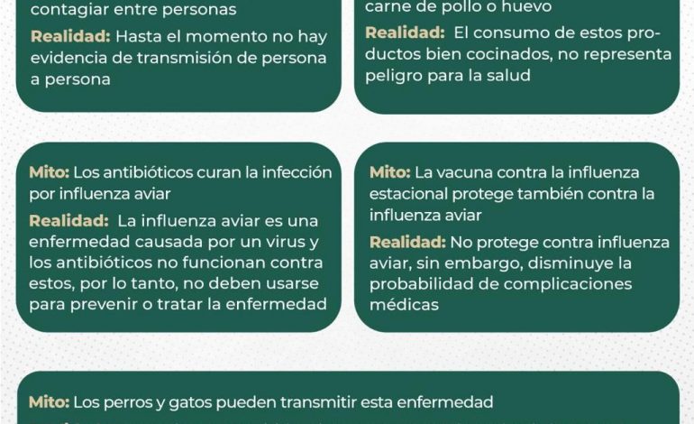 Conoce los mitos y realidades de la gripe aviar