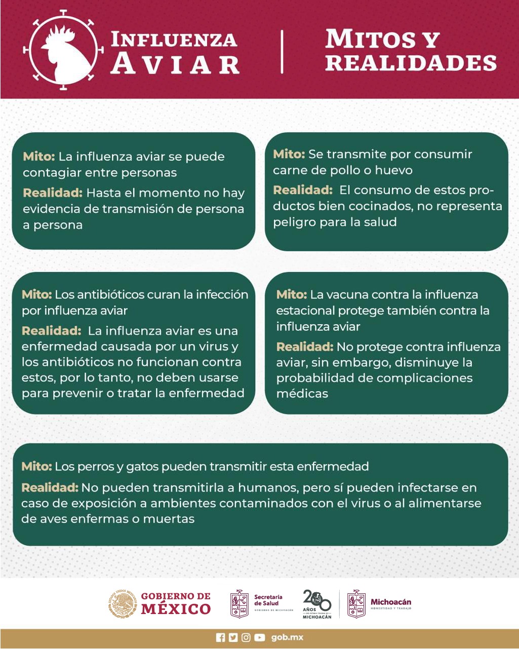 Conoce los mitos y realidades de la gripe aviar