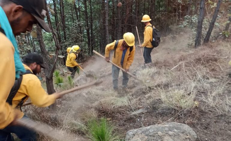 Solicita Bedolla a Sedena aplicar Plan DN-III-E para apagar incendio forestal en Uruapan.