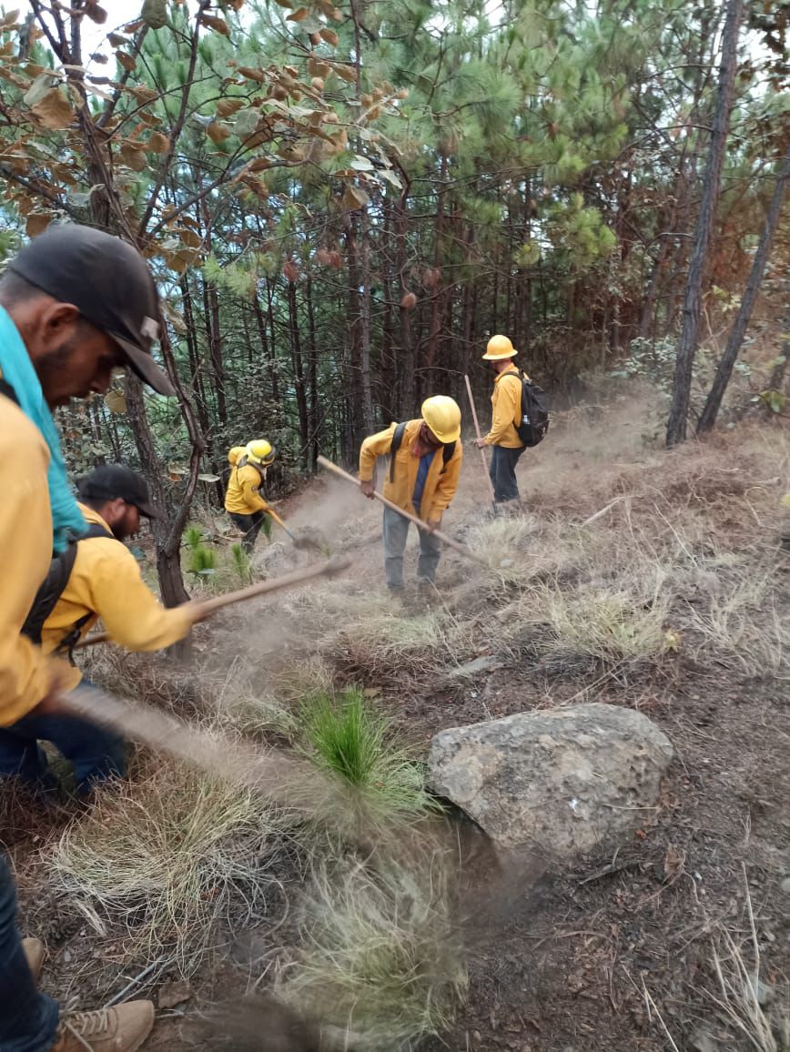 Solicita Bedolla a Sedena aplicar Plan DN-III-E para apagar incendio forestal en Uruapan.