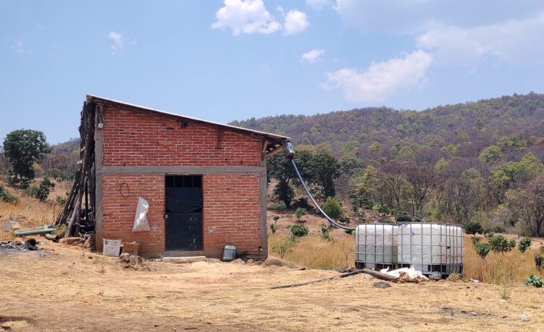 Cumplimenta FGE orden de cateo y asegura predio relacionado en delitos contra el ambiente; se detectó plantación de aguacate.