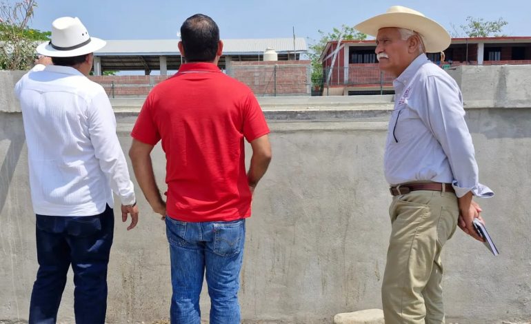 Avanza aplicación de prácticas agroecológicas para producción de plátano en Coahuayana