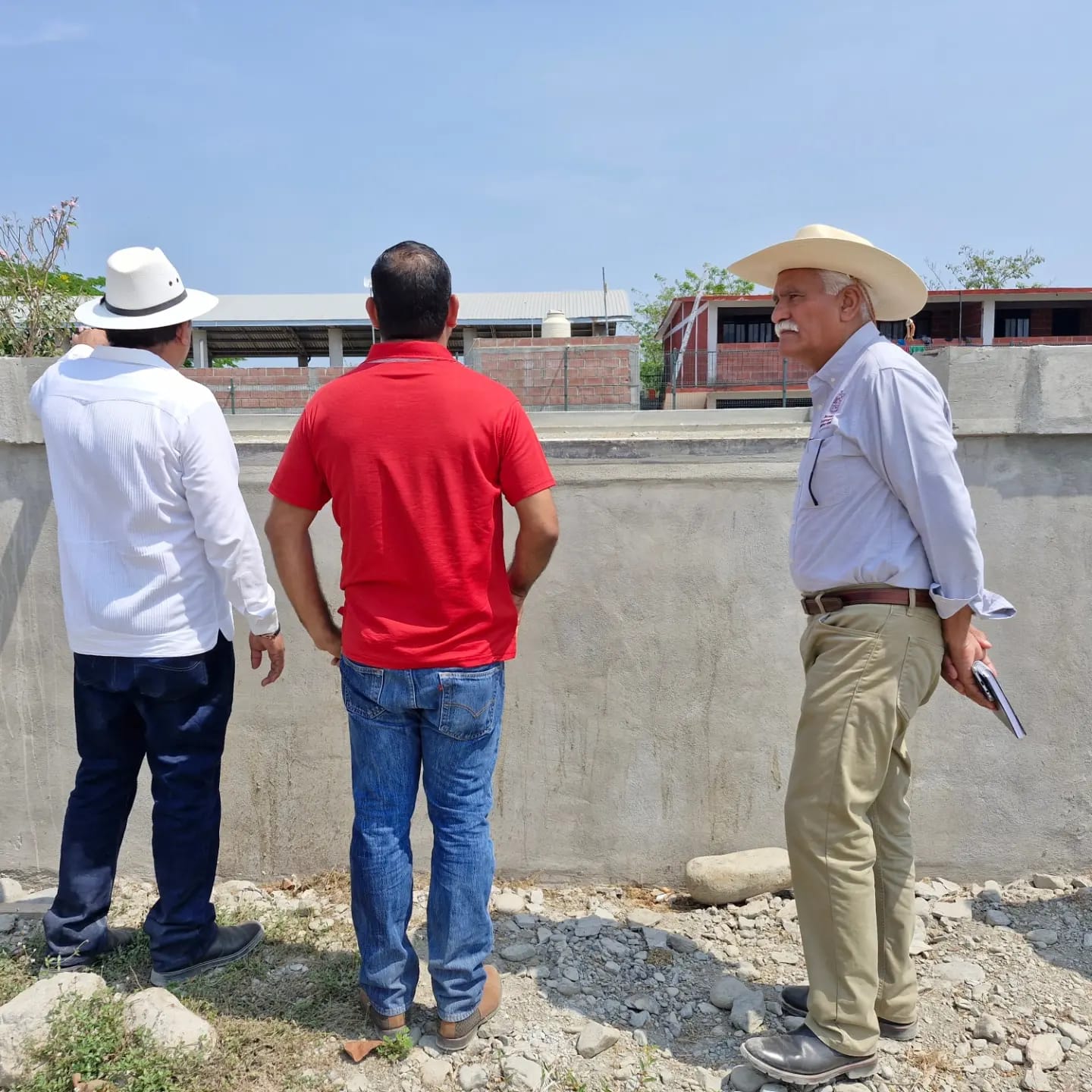 Avanza aplicación de prácticas agroecológicas para producción de plátano en Coahuayana