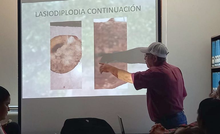 Agrosano y Comité de Sanidad Vegetal van por impulso a la producción citrícola
