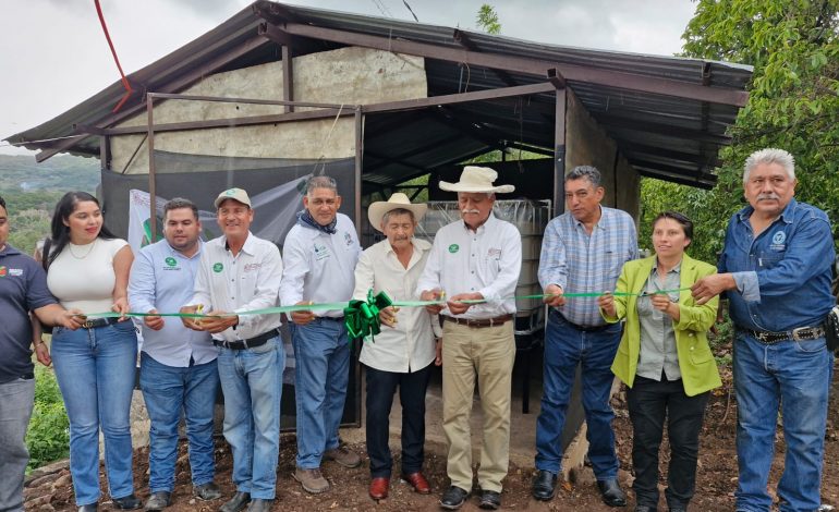 Productores y Sader ponen en marcha 3 biofábricas