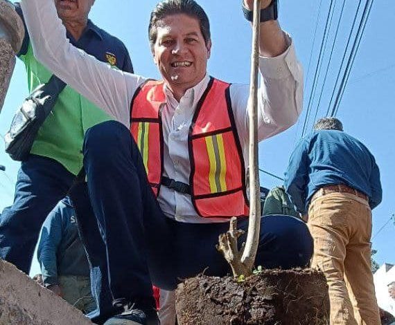 Invita gobierno de Morelia sumarme al programa “Planta un Árbol en tu Banqueta