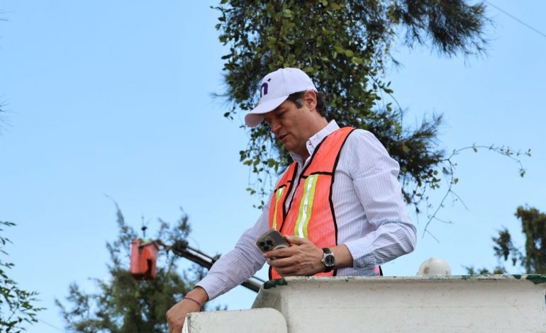 Alfonso Martínez supervisa poda sanitaria de árboles en Av. Camelinas