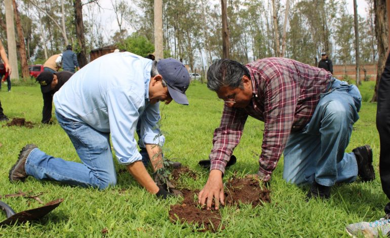 Reforesta Gobierno estatal Área Natural Protegida Piedra del Indio, en Morelia