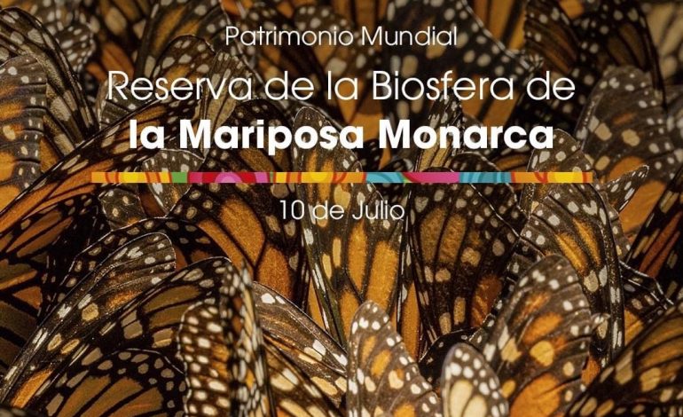 Cumple Biosfera de la Monarca 16 años como Patrimonio Mundial de la Humanidad